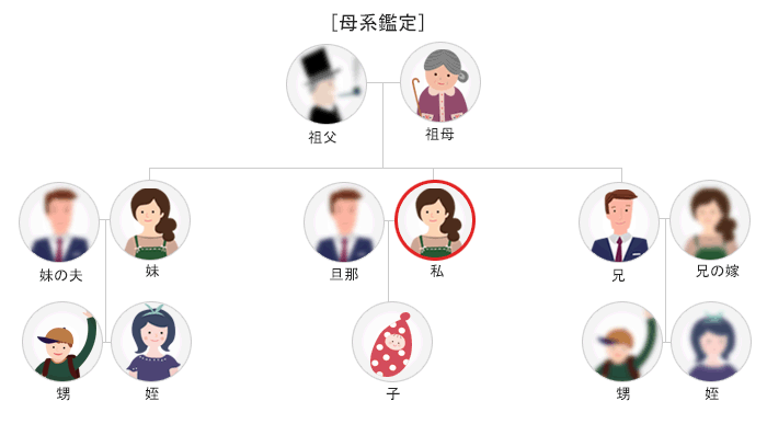 DNA鑑定で確認できる母系の血縁関係