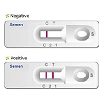 LAN3S_2