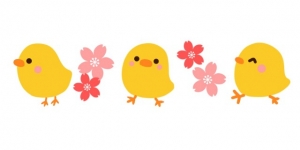 piyopiyo_hiyoko